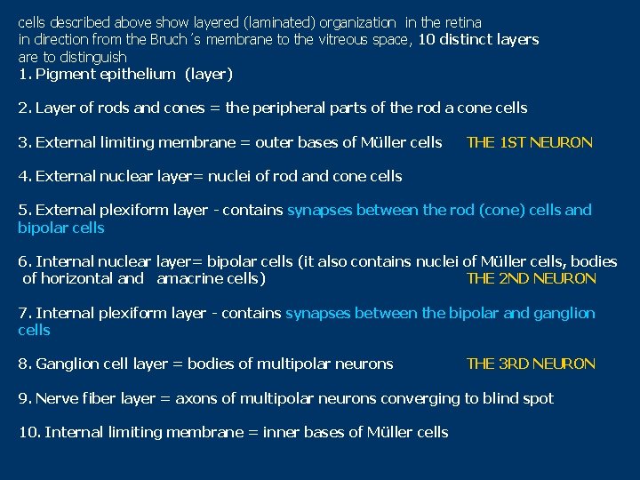 cells described above show layered (laminated) organization in the retina in direction from the