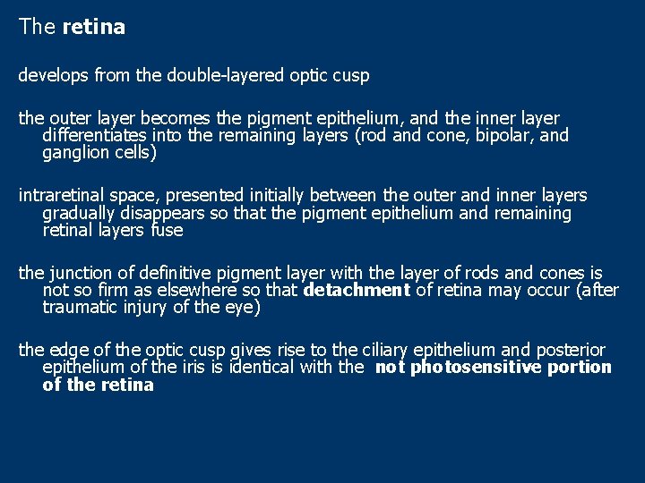 The retina develops from the double-layered optic cusp the outer layer becomes the pigment