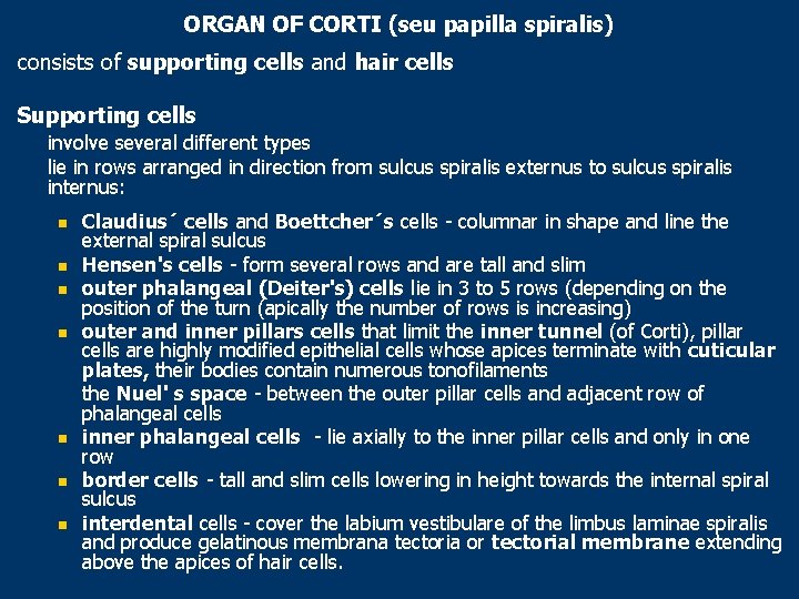 ORGAN OF CORTI (seu papilla spiralis) consists of supporting cells and hair cells Supporting