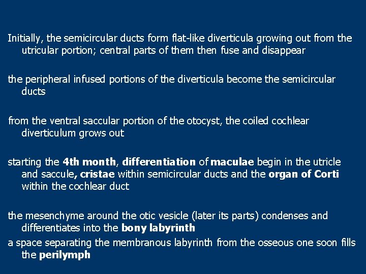 Initially, the semicircular ducts form flat-like diverticula growing out from the utricular portion; central