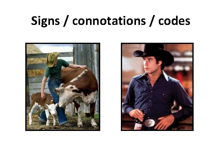 Signs / connotations / codes 