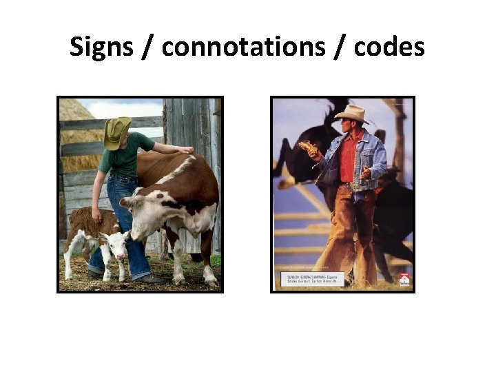 Signs / connotations / codes 