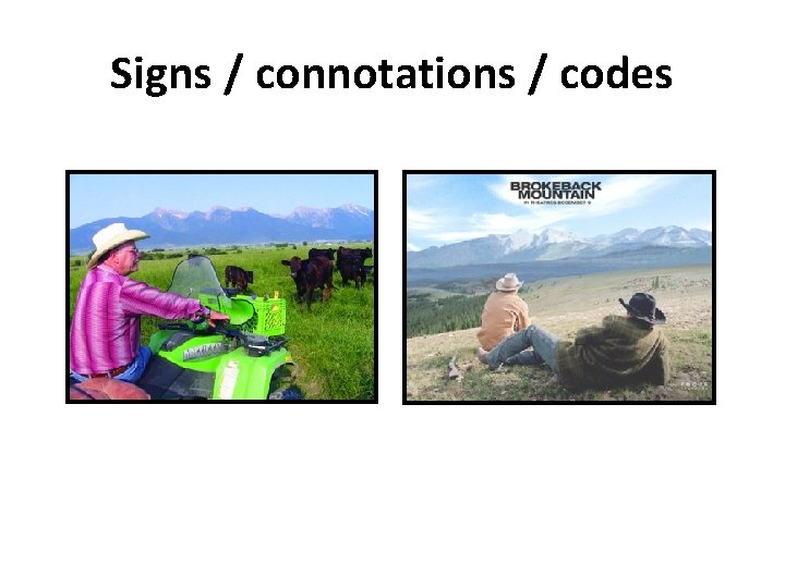 Signs / connotations / codes 