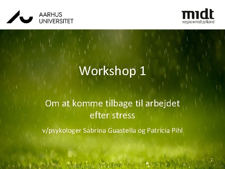 Workshop 1 Om at komme tilbage til arbejdet efter stress v/psykologer Sabrina Guastella og