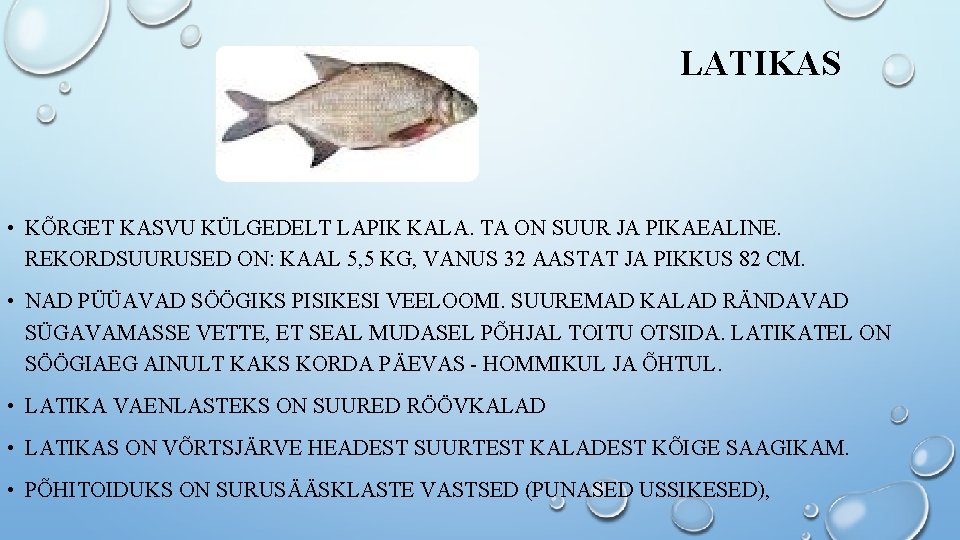 LATIKAS • KÕRGET KASVU KÜLGEDELT LAPIK KALA. TA ON SUUR JA PIKAEALINE. REKORDSUURUSED ON: