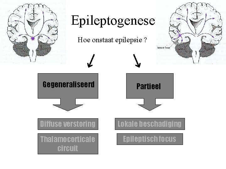 Epileptogenese Hoe onstaat epilepsie ? Gegeneraliseerd Partieel Diffuse verstoring Lokale beschadiging Thalamocorticale circuit Epileptisch