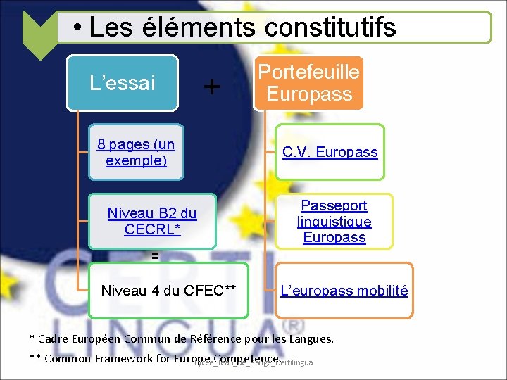  • Les éléments constitutifs L’essai + 8 pages (un exemple) Niveau B 2