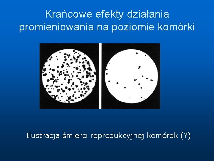 Krańcowe efekty działania promieniowania na poziomie komórki Ilustracja śmierci reprodukcyjnej komórek (? ) Krańcowe efekty działania promieniowania na poziomie komórki Ilustracja śmierci reprodukcyjnej komórek (? )
