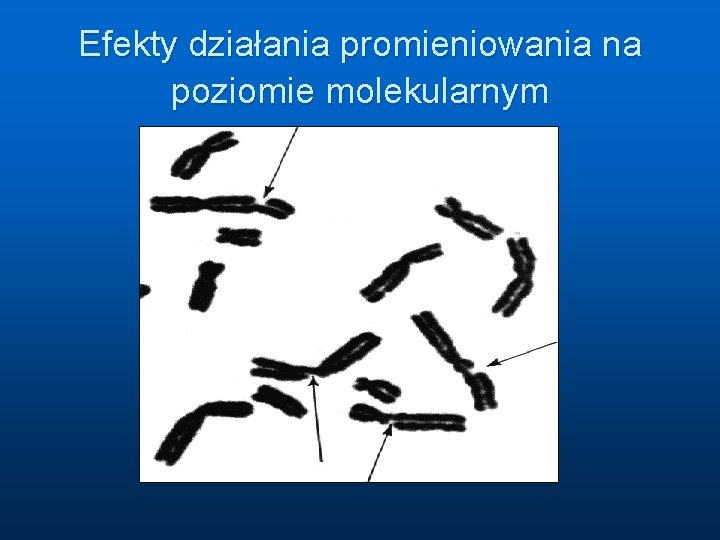 Efekty działania promieniowania na poziomie molekularnym 