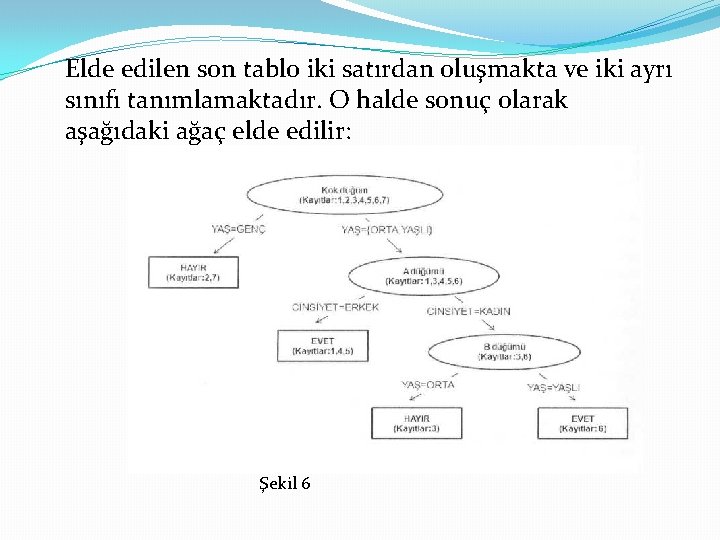 Elde edilen son tablo iki satırdan oluşmakta ve iki ayrı sınıfı tanımlamaktadır. O halde