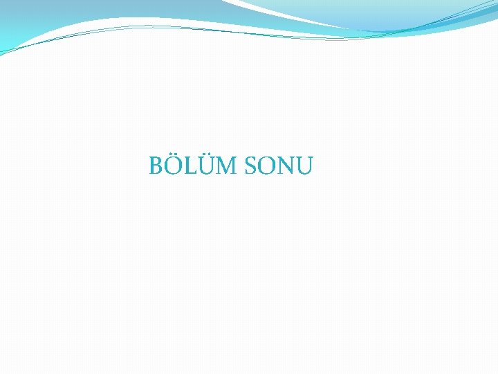 BÖLÜM SONU 