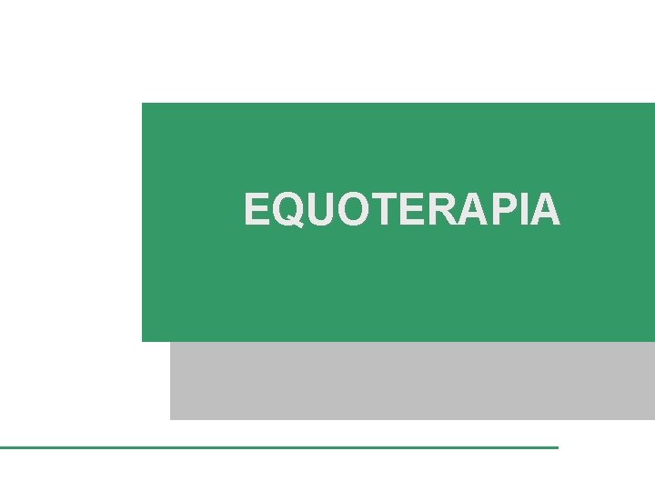 EQUOTERAPIA 