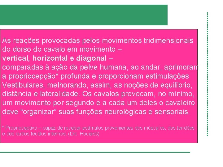 As reações provocadas pelos movimentos tridimensionais do dorso do cavalo em movimento – vertical,