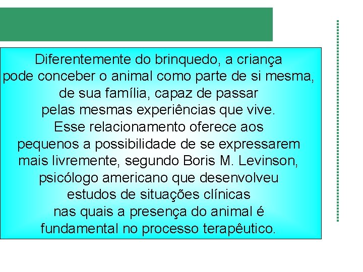 Diferentemente do brinquedo, a criança pode conceber o animal como parte de si mesma,