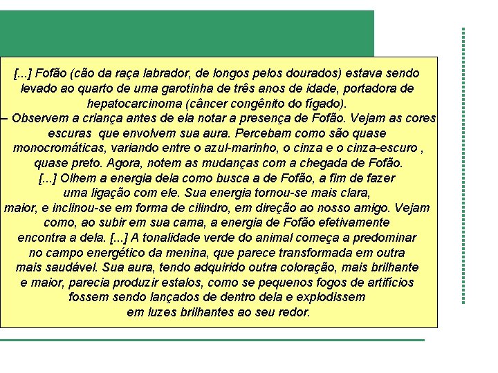 [. . . ] Fofão (cão da raça labrador, de longos pelos dourados) estava