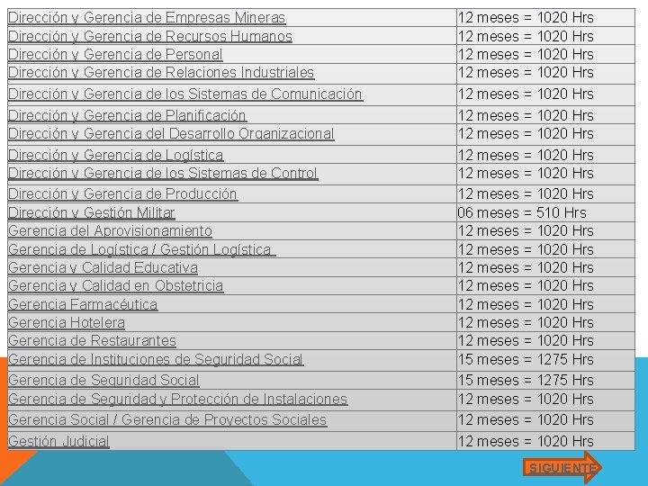 Dirección y Gerencia de Empresas Mineras Dirección y Gerencia de Recursos Humanos Dirección y