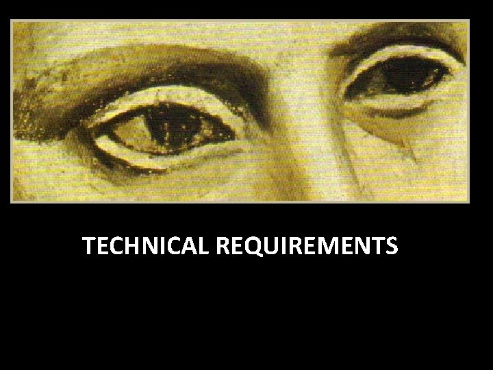 TECHNICAL REQUIREMENTS 