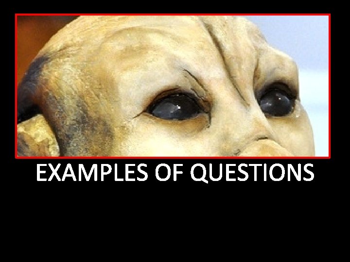 EXAMPLES OF QUESTIONS 