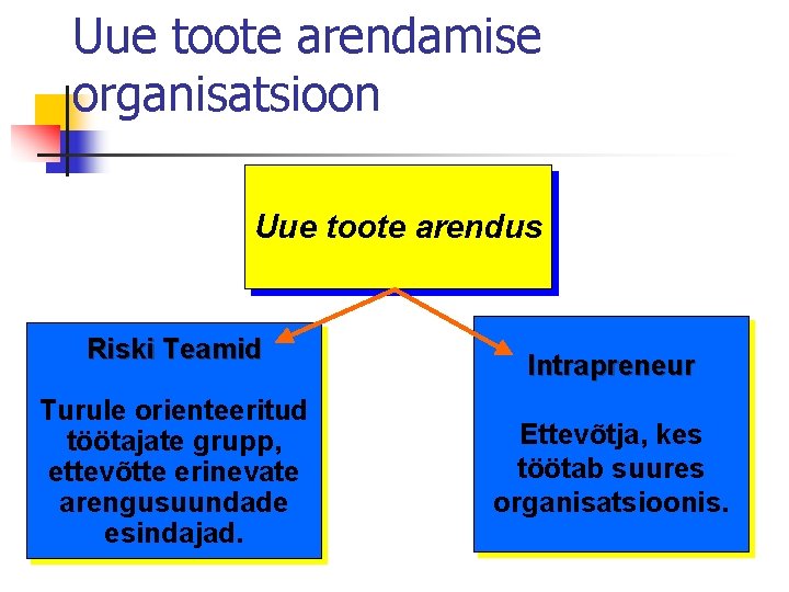 Uue toote arendamise organisatsioon Uue toote arendus Riski Teamid Turule orienteeritud töötajate grupp, ettevõtte