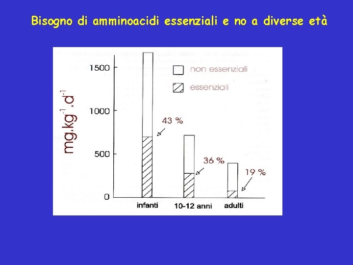 Bisogno di amminoacidi essenziali e no a diverse età 