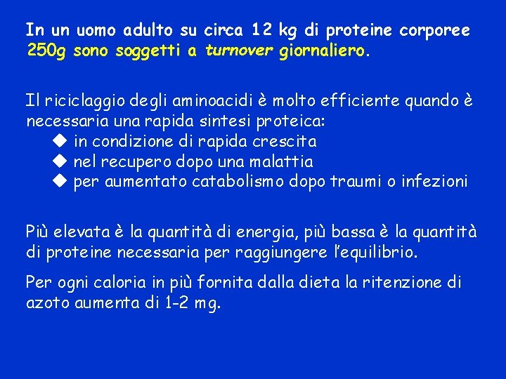 In un uomo adulto su circa 12 kg di proteine corporee 250 g sono