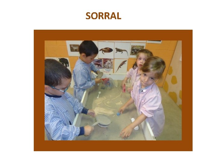 SORRAL 