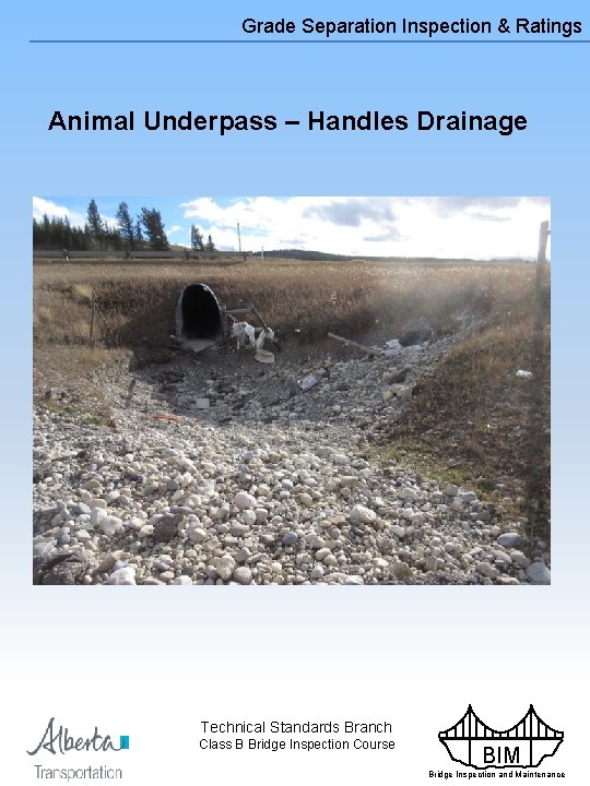 Grade Separation Inspection & Ratings Animal Underpass – Handles Drainage Technical Standards Branch Class