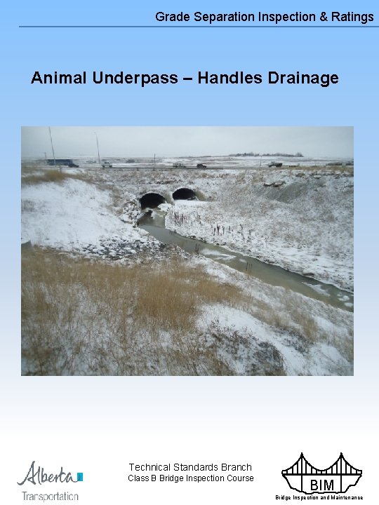 Grade Separation Inspection & Ratings Animal Underpass – Handles Drainage Technical Standards Branch Class