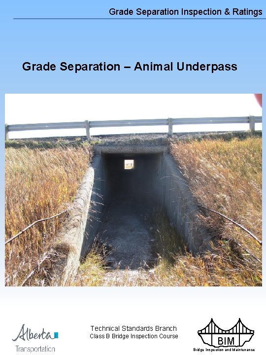 Grade Separation Inspection & Ratings Grade Separation – Animal Underpass Technical Standards Branch Class