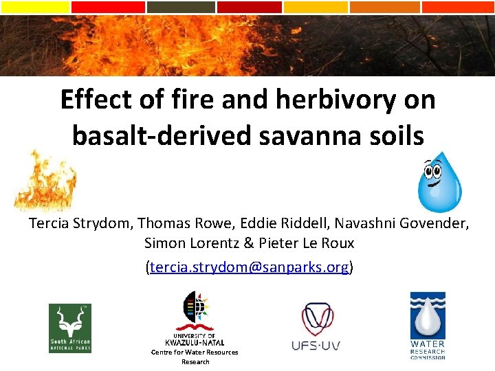 Effect of fire and herbivory on basalt-derived savanna soils Tercia Strydom, Thomas Rowe, Eddie
