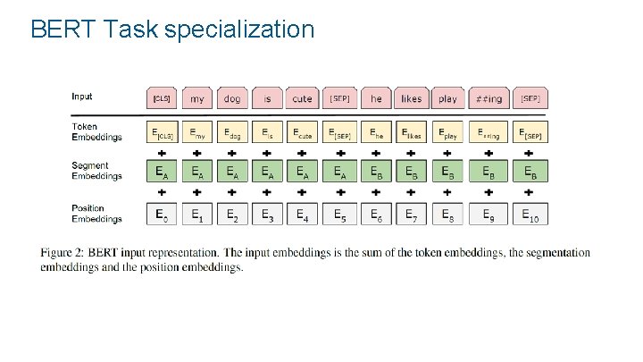 BERT Task specialization 