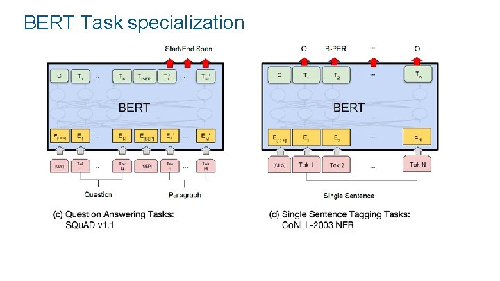 BERT Task specialization 