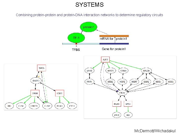 SYSTEMS Combining protein-protein and protein-DNA interaction networks to determine regulatory circuits Mc. Dermott/Wichadakul 