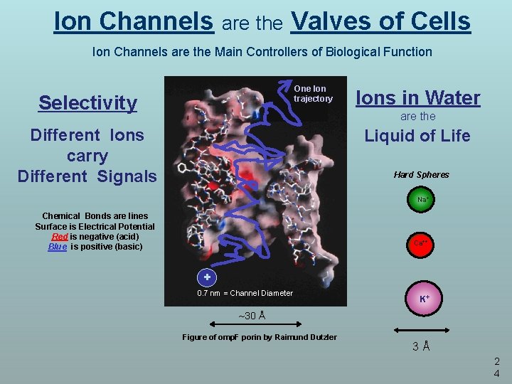 Ion Channels are the Valves of Cells Ion Channels are the Main Controllers of