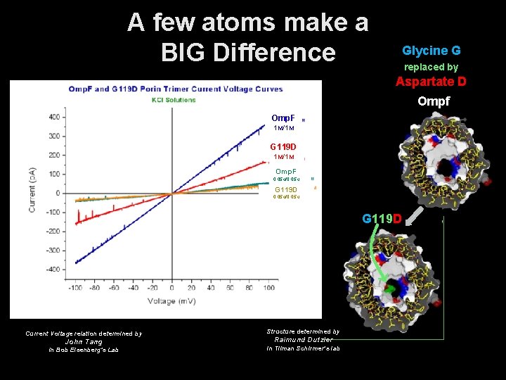 A few atoms make a BIG Difference Glycine G replaced by Aspartate D Ompf