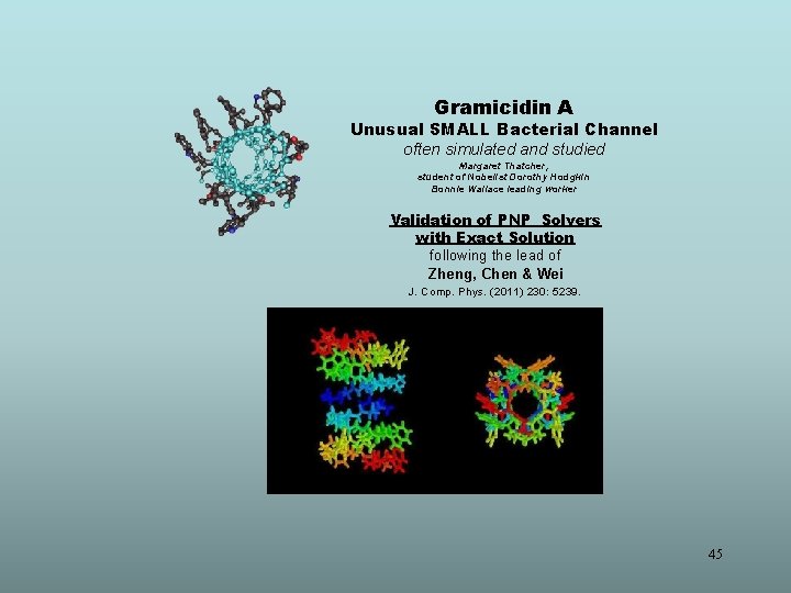 Gramicidin A Unusual SMALL Bacterial Channel often simulated and studied Margaret Thatcher, student of