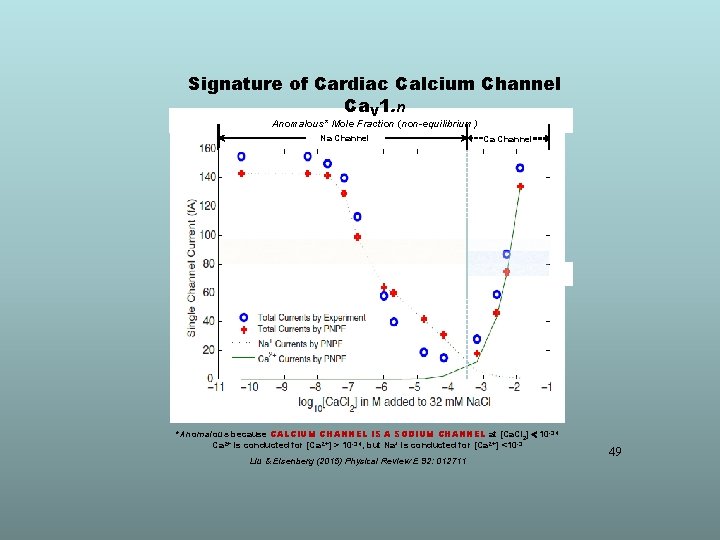 Signature of Cardiac Calcium Channel Ca. V 1. n Anomalous* Mole Fraction (non-equilibrium) Na