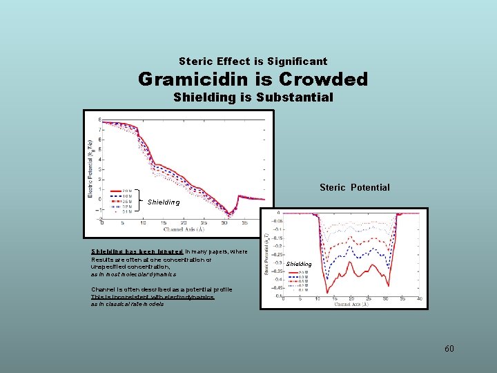 Steric Effect is Significant Gramicidin is Crowded Shielding is Substantial Electric Potential Steric Potential