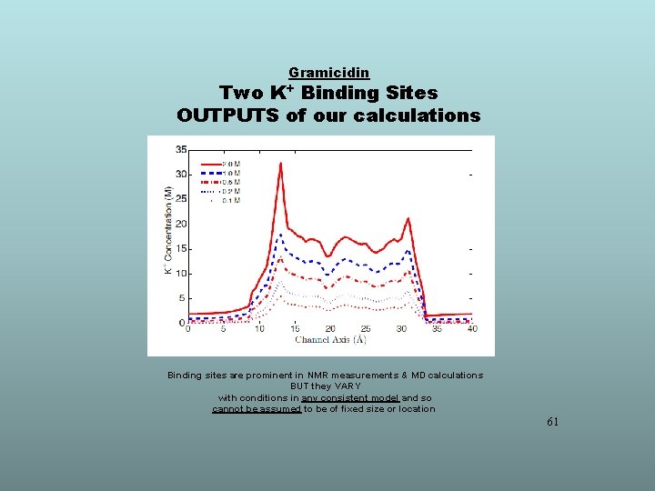 Gramicidin Two K+ Binding Sites OUTPUTS of our calculations Binding sites are prominent in