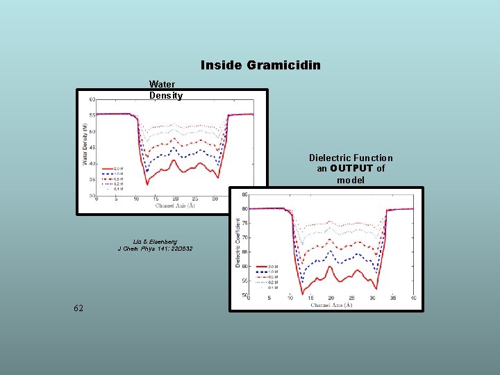 Inside Gramicidin Water Density Dielectric Function an OUTPUT of model Liu & Eisenberg J