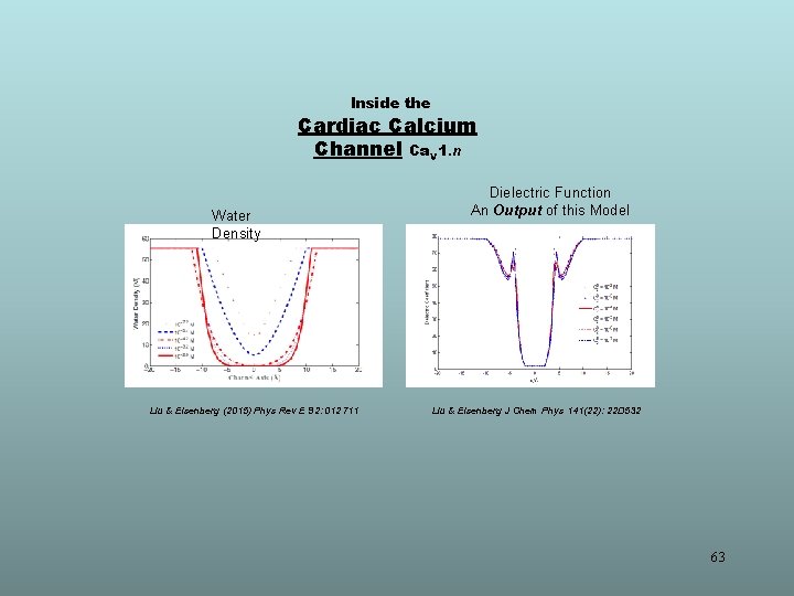 Inside the Cardiac Calcium Channel Ca. V 1. n Water Density Liu & Eisenberg