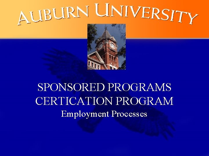 SPONSORED PROGRAMS CERTICATION PROGRAM Employment Processes 1 