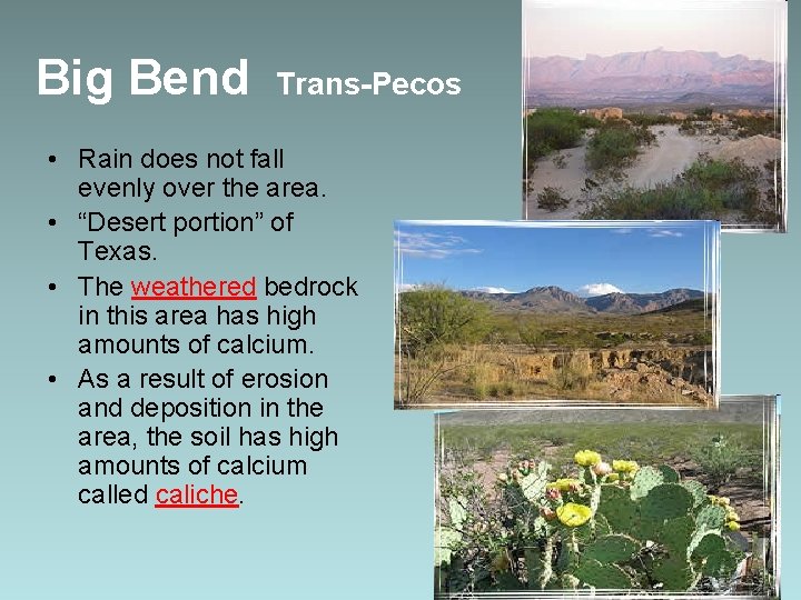Big Bend Trans-Pecos • Rain does not fall evenly over the area. • “Desert