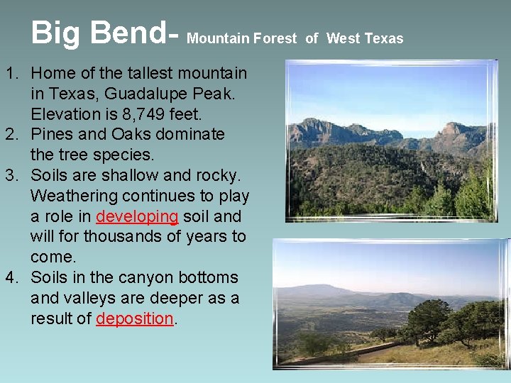 Big Bend- Mountain Forest of West Texas 1. Home of the tallest mountain in