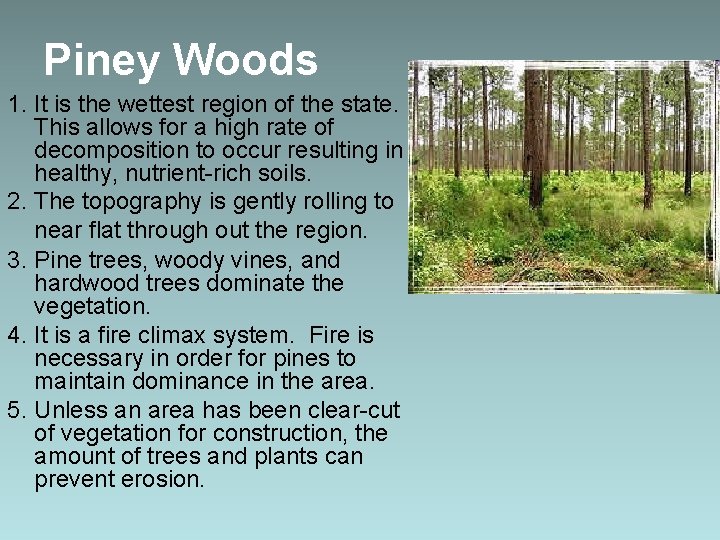 Piney Woods 1. It is the wettest region of the state. This allows for