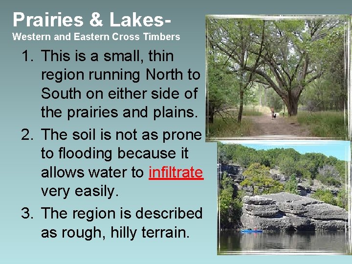 Prairies & Lakes. Western and Eastern Cross Timbers 1. This is a small, thin