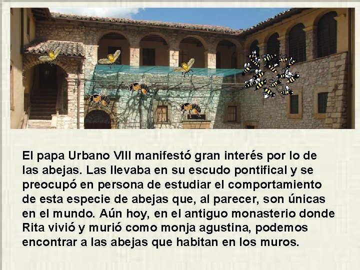 El papa Urbano VIII manifestó gran interés por lo de las abejas. Las llevaba