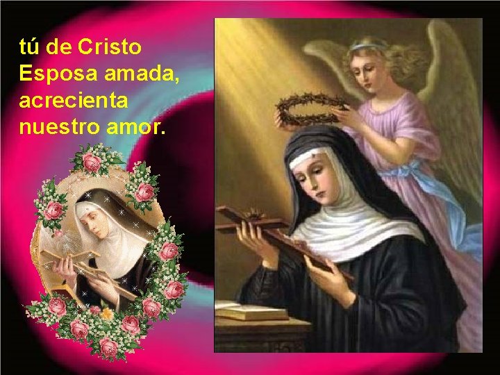 tú de Cristo Esposa amada, acrecienta nuestro amor. 