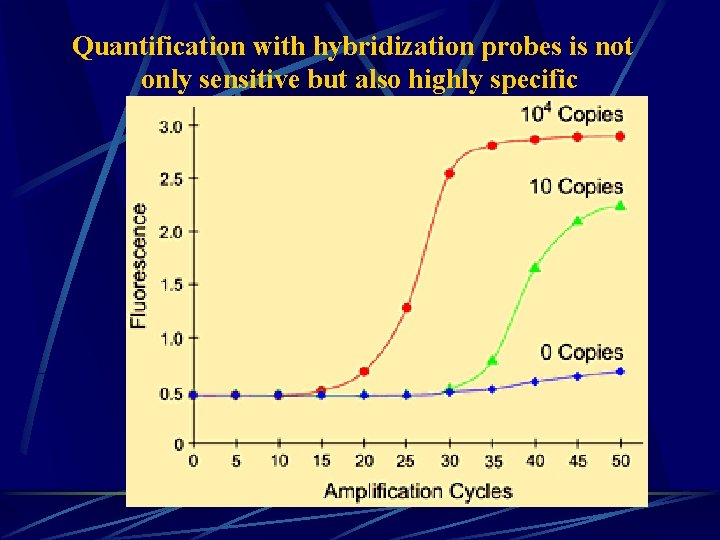 Quantification with hybridization probes is not only sensitive but also highly specific 