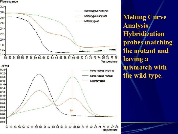 Melting Curve Analysis: Hybridization probes matching the mutant and having a mismatch with the